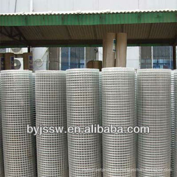 Welded Iron Wire Mesh 12x12